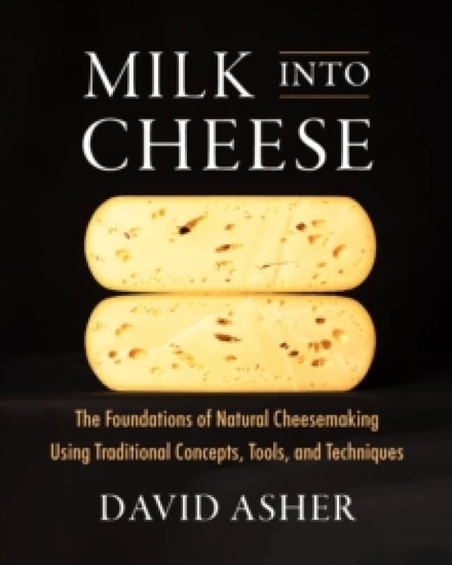 Milk Into Cheese : The Foundations of Natural Cheesemaking Using Traditional Concepts, Tools, and Techniques Hardback