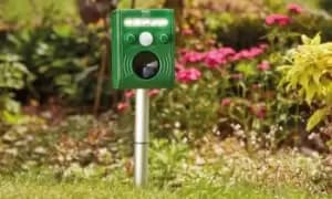 Pest XT Solar Powered Ultrasonic Flash Pest Repeller: 2