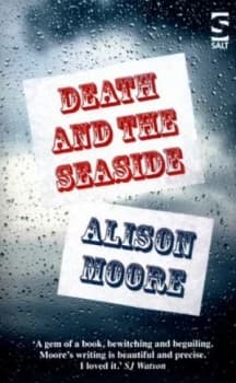 Death and the Seaside by Alison Moore Paperback