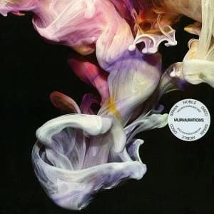 Simian Mobile Disco - Murmurations Vinyl