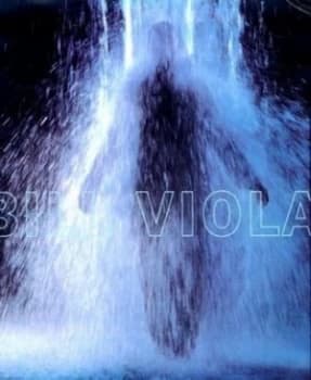 Bill Viola by Bill Viola and David a Ross and Peter Sellars and Lewis Hyde and Whitney Museum of American Art Hardback