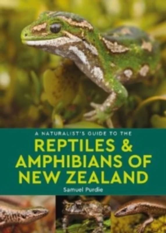 A Naturalist's Guide to the Reptiles & Amphibians Of New Zealand Paperback / softback