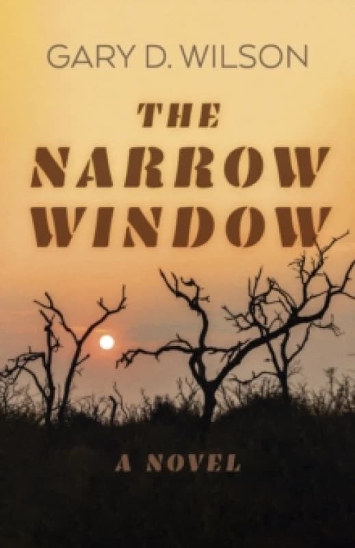 Narrow Window, The - A Novel Paperback / softback