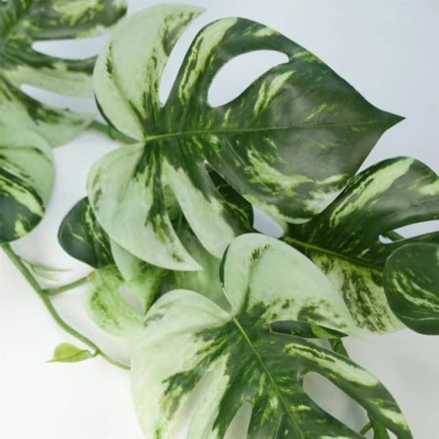 Leaf 6 x 180cm Artificial Hanging Trailing Variegated Monstera Plant Green