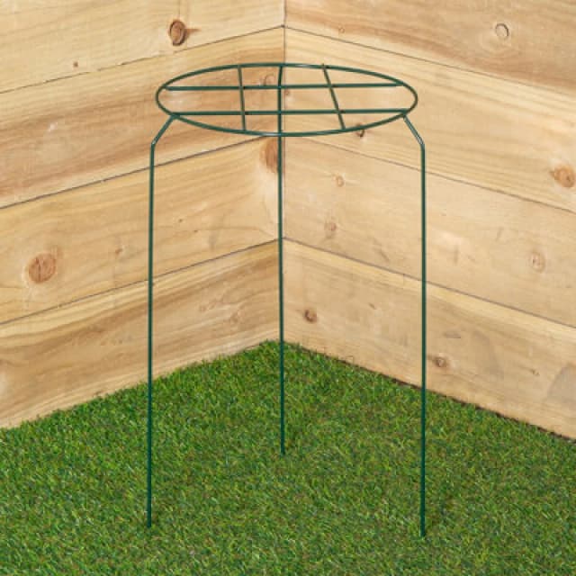 Samuel Alexander Tom Chambers Urban Dark Green Metal Herbaceous Garden Plant Support Grow Through Medium 50cm x 30cm Dark Green