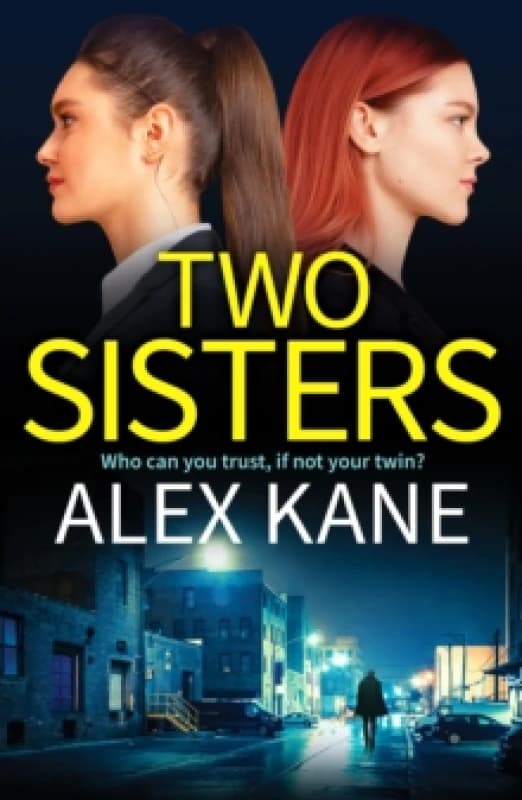 Two Sisters : A dark, addictive and twisty thriller Paperback / softback