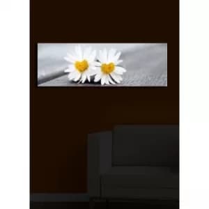 3090?ACT-12 Multicolor Decorative LED Lighted Canvas Painting
