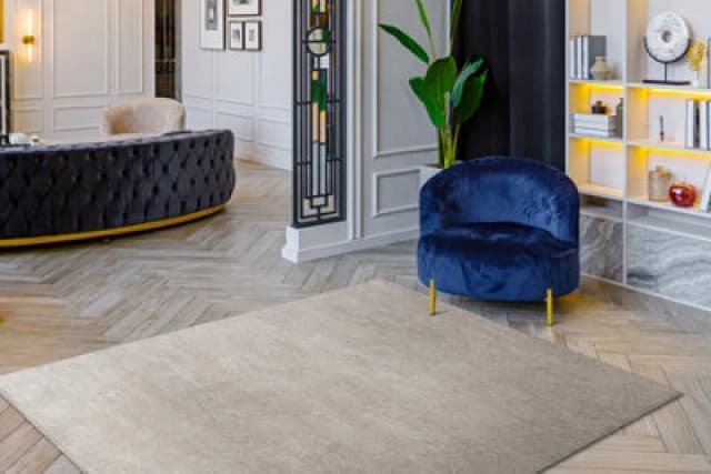 RugsX Carpet Visco Silver 3 Plush, Imitation Of Rabbit Fur 60X100 Cm