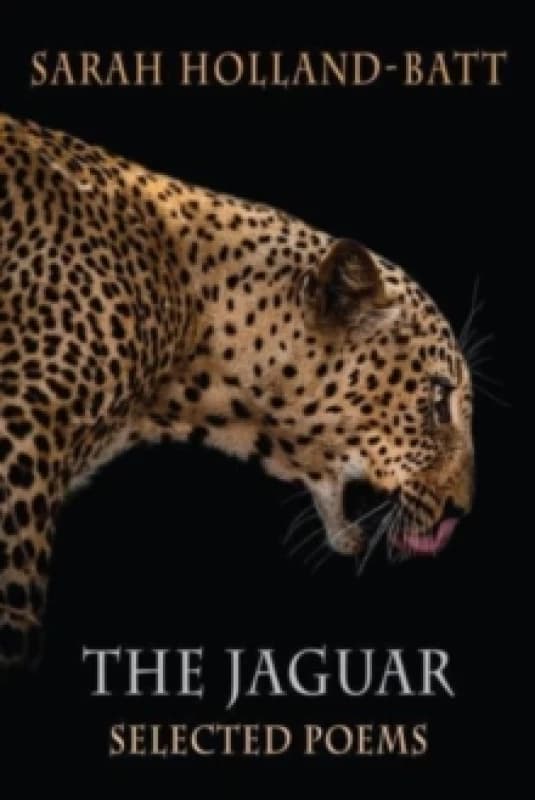 The Jaguar : Selected Poems Paperback / softback