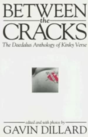 between the cracks the daedalus anthology of kinky verse