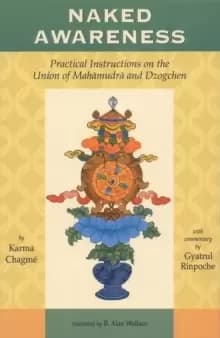 Naked Awareness : Practical Instructions on the Union of Mahamudra and Dzogchen