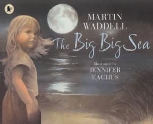 The Big Big Sea by Martin Waddell Paperback