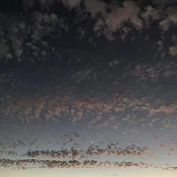 K. Leimer - Found Objects CD