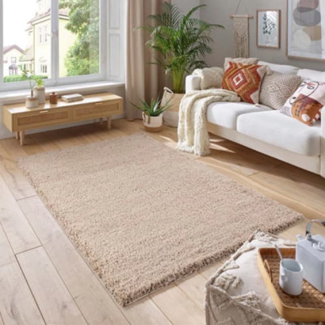 Smart Living Smart Living Soft Fluffy 5cm Thick Pile Shaggy Area Rugs for Living Room, Bedroom in Medium Beige Size: 120cm x 170cm Medium Beige 120c