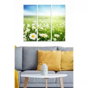 MDF94521865 Multicolor Decorative MDF Painting (3 Pieces)