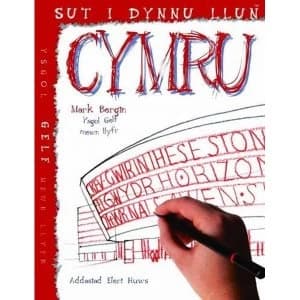 Sut i Dynnu Llun Cymru by Mark Bergin (Paperback, 2016)