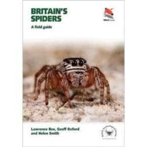 Britains Spiders : A Field Guide