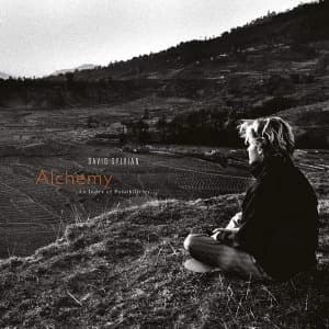 David Sylvian - Alchemy: An Index Of Possibilities Vinyl