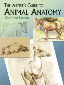 The Artists Guide to Animal Anatomy by Gottfried Bammes Paperback