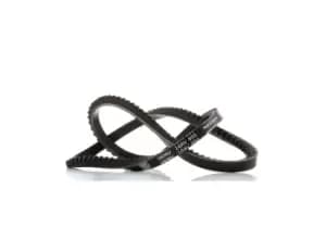 SKF V Belt VW,AUDI,BMW VKMV 10AVx950 026903137C,0499031372,050903137 Fenner Belt 943095009,11231266125,12311284317,6340648,93182251,93182257,950380