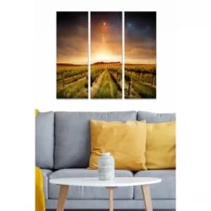 MDF74936458 Multicolor Decorative MDF Painting (3 Pieces)