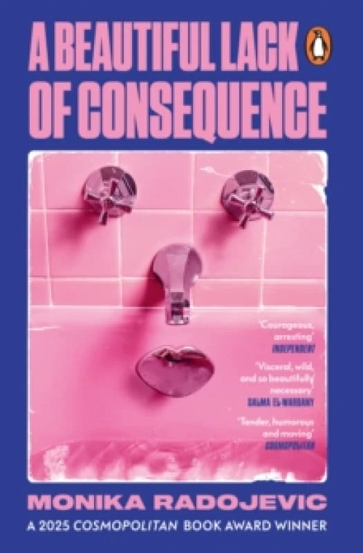 A Beautiful Lack of Consequence Paperback / softback