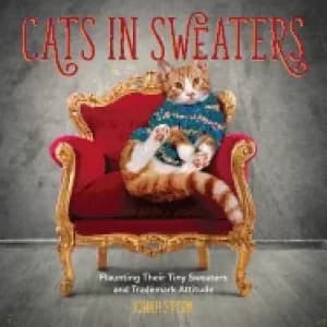 cats in sweaters flaunting their tiny sweaters and trademark attitude
