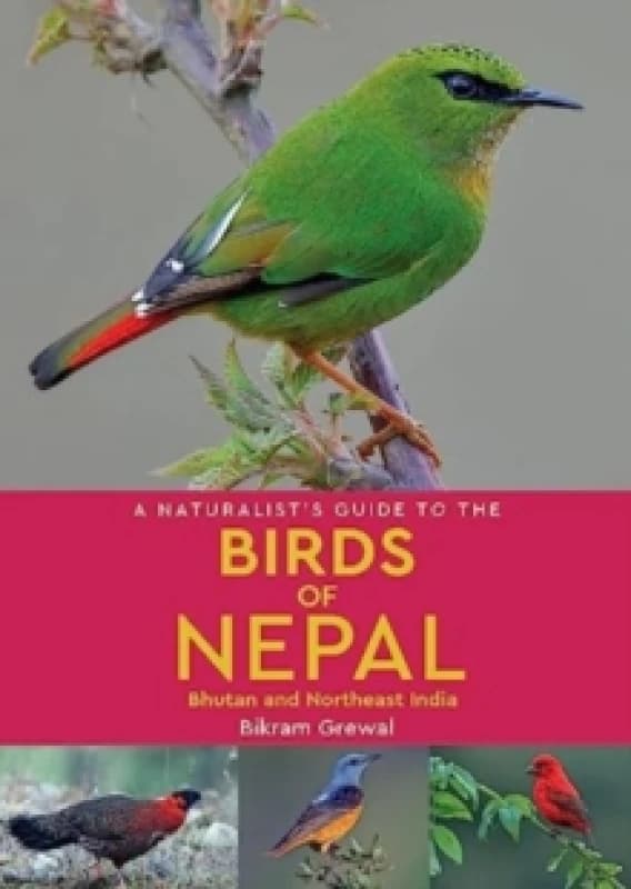 A Naturalist's Guide to the Birds of Nepal Paperback / softback