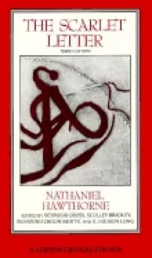 scarlet letter an authoritative text essays in criticism and scholarship