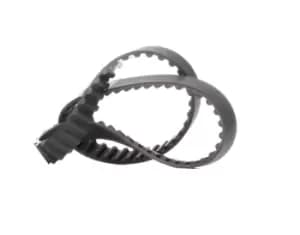 RIDEX Timing Belt VW,AUDI 306T0058 074130113C,074130113,074198119A Cam Belt,Toothed Belt 074198119F,074198119J,074198119N