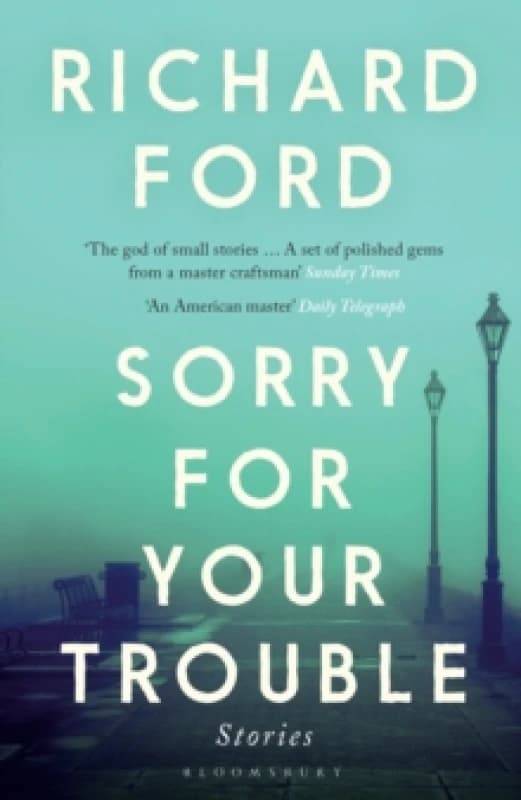 Sorry For Your Trouble Paperback / softback