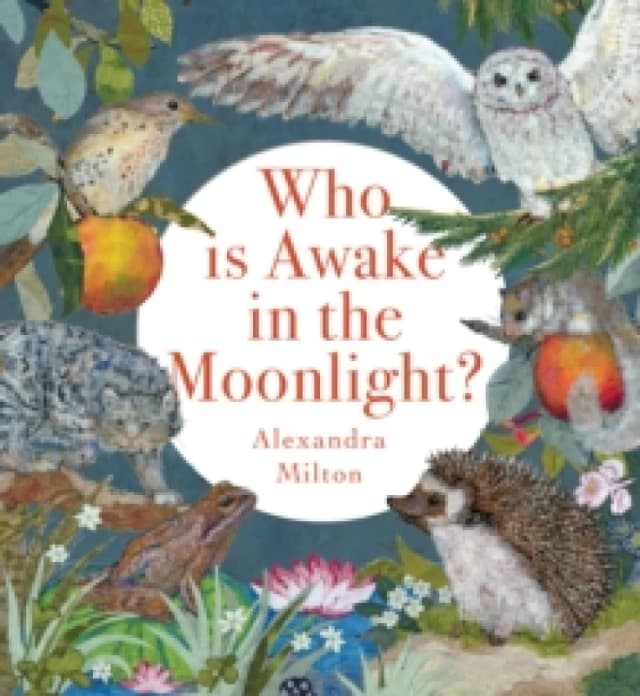 Who Is Awake in the Moonlight? Hardback