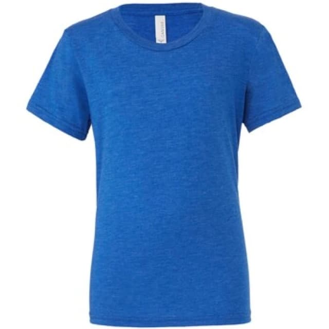 Bella + Canvas Mens Canvas Triblend Crew Neck T-Shirt Short Sleeve T-Shirt in Royal Size: XS Royal Male XS