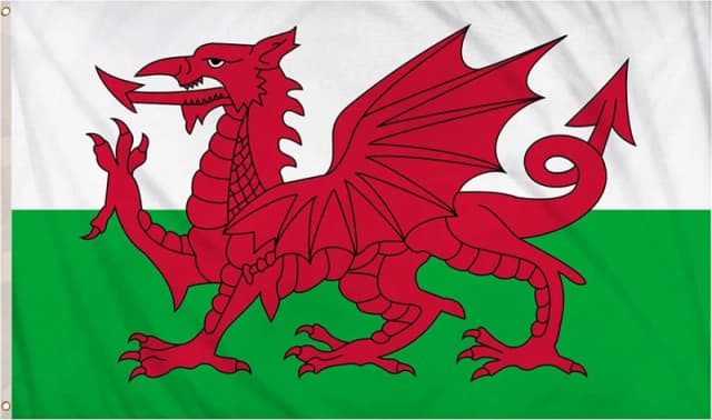Shatchi 5 X 3ft Welsh National Flags Events Pub BBQ Decorations for Rugby Cricket Football Sports 2023 World Cup Banner Fan Suppor Multi unisex