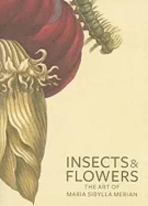 insects and flowers the art of maria sibylla merian