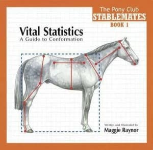 Vital Statistics by Maggie Raynor and Pony Club Paperback