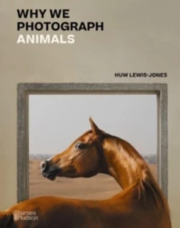 Why We Photograph Animals. Hardback. By Huw LewisJones Books