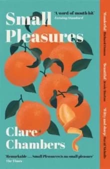 Small Pleasures : Longlisted for the Womens Prize for Fiction 2021