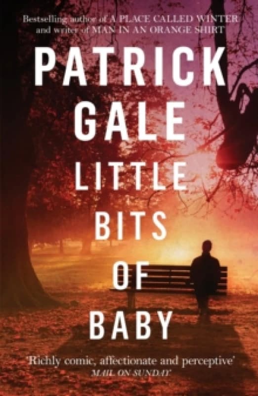 Little Bits of Baby : A quirky, comedic novel of breakdown, escape and the possibilities of finding love Paperback / softback