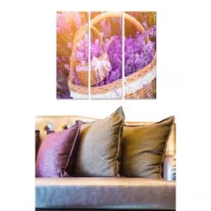 MDF259154981 Multicolor Decorative MDF Painting (3 Pieces)