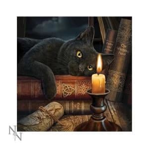 Witching Hour Light Up Cushion