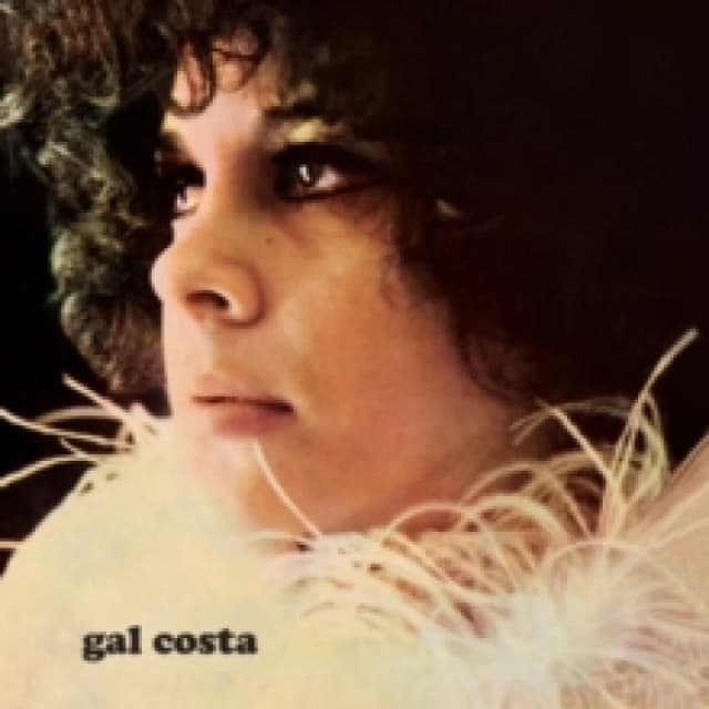 Gal Costa Vinyl