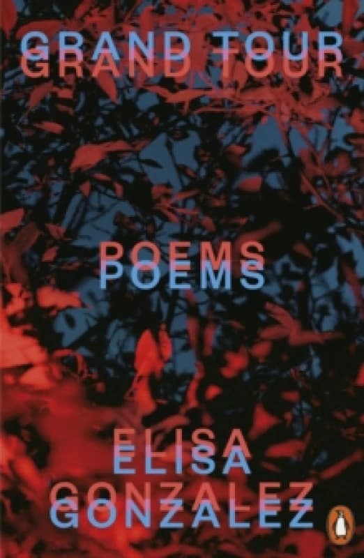 Grand Tour : Poems Paperback / softback