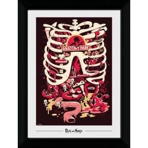 Rick and Morty Anatomy Park Collector Print