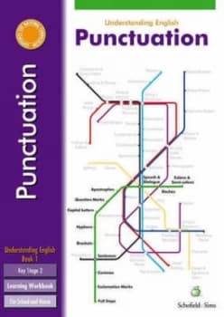 Punctuation by Carol Matchett Paperback