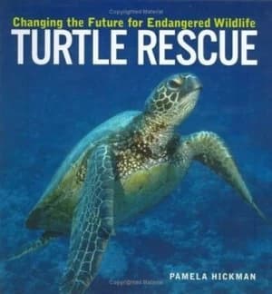 Turtle Rescue by Pamela M Hickman Hardback