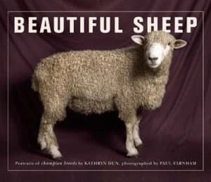 Beautiful Sheep by Kathryn Dun Paperback