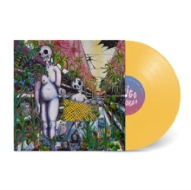 Any Shape You Take Vinyl