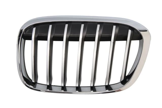 BLIC 6502-07-0082991P Radiator Grill Left, chrome/black Radiator Grille (472)