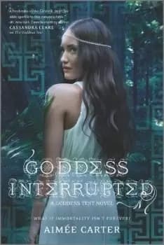 Goddess Interrupted by Aime Carter